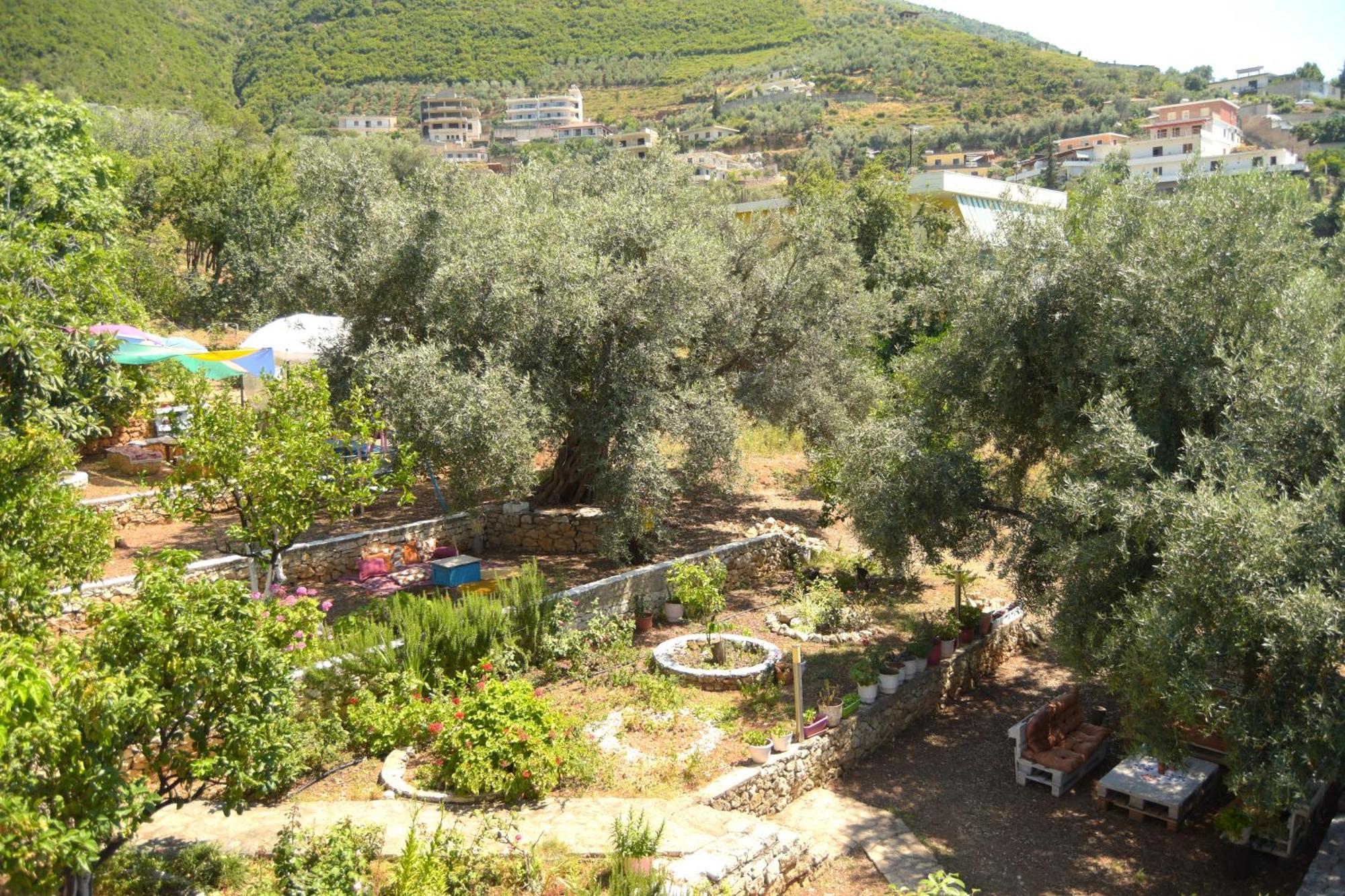 Vila Toskaj Daire Avlonya Dış mekan fotoğraf