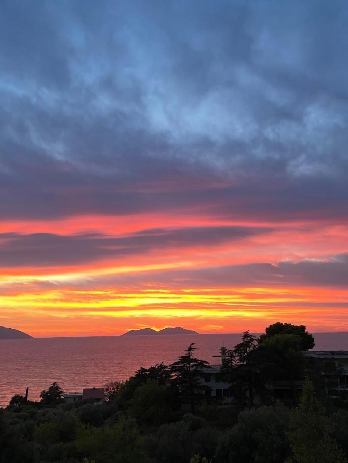 Vila Toskaj Daire Avlonya Dış mekan fotoğraf